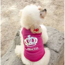 Vêtements & Accessoires - Chien