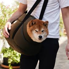 Transport & Voyage - Chien
